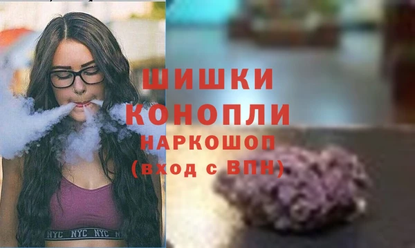 шишки Армянск