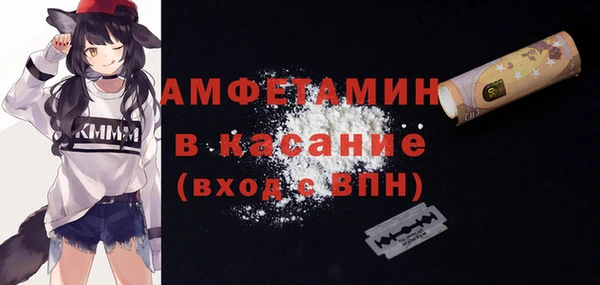 шишки Армянск