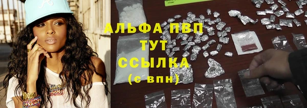 шишки Армянск