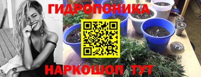 стаф Комсомольск-на-Амуре