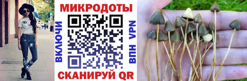 Псилоцибиновые грибы мицелий цена Кропоткин