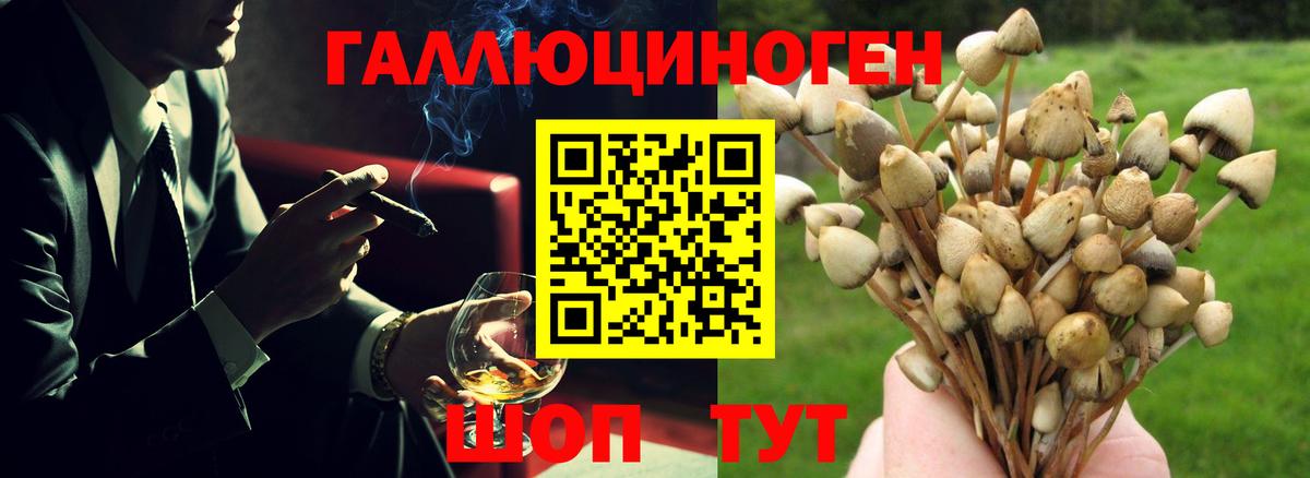 Галлюциногенные грибы ЛСД Кропоткин